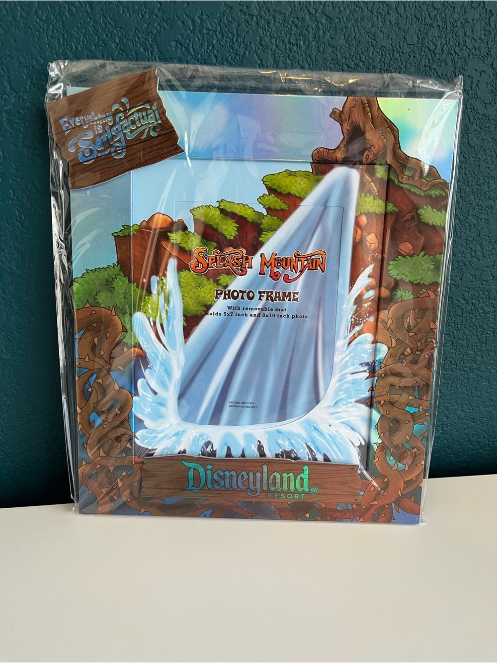 Vintage Magic Kingdom Disneyland Resort Splash Mountain Picture Frame 5x7” 8x10”